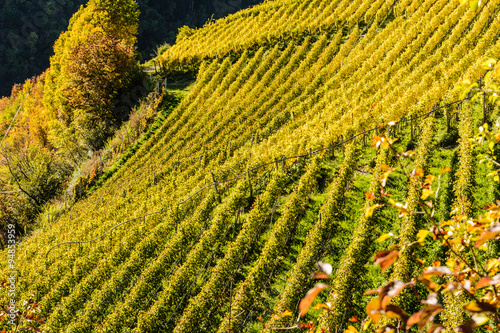 Herbst in Villnoesstal photo