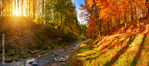 Fototapeta Naklejka Na Ścianę i Meble -  Autumn forest and a river