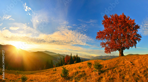 Autumn highland © denis_333
