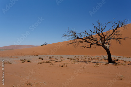 Dune 45 in sossusvlei Namibia with dead tree