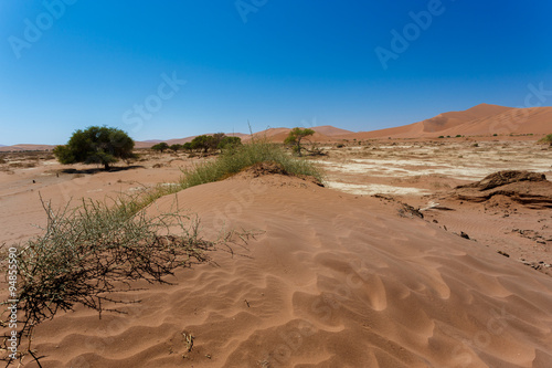 beautiful sunrise landscape of hidden Dead Vlei