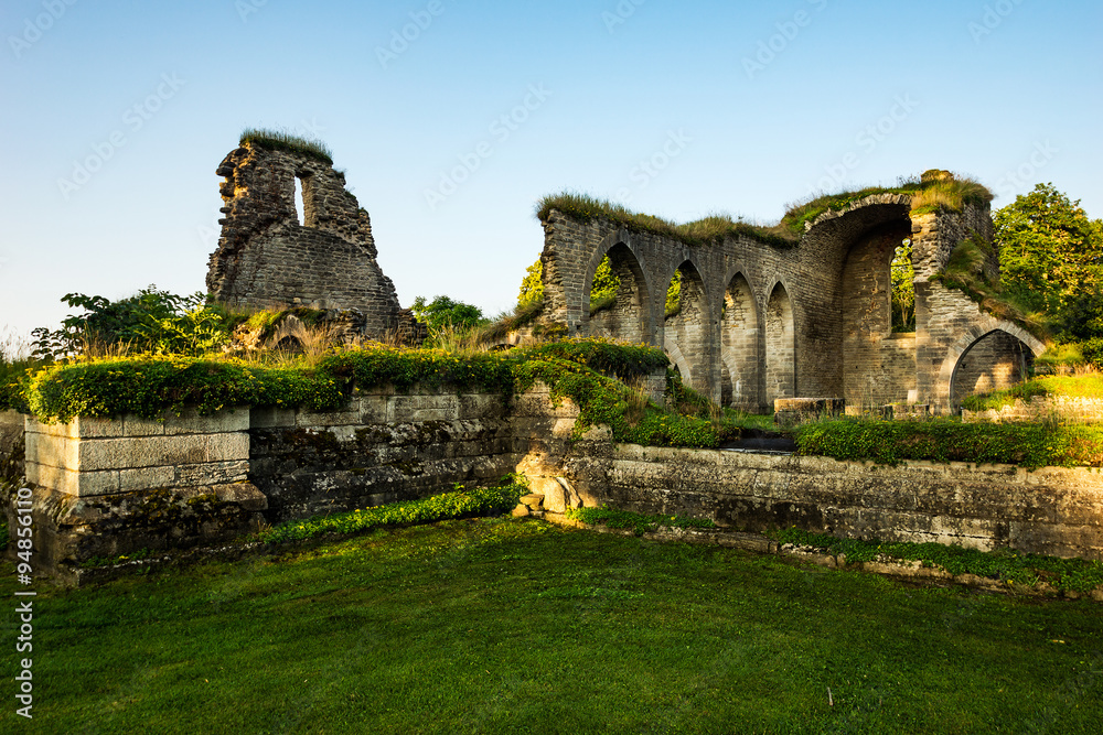 Obraz premium Ruins of Alvastra Monastery, Sweden. Ancient buildings on the farmland right beside the hills of Omberg in erarly morning light