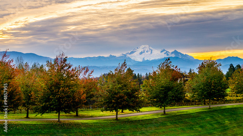 Sunrise over Mount Baker and a tree lined lane in the Fraser Valley of British Columbia, Canada