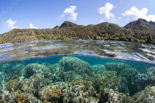 Tropical Island and Coral Reef in Raja Ampat