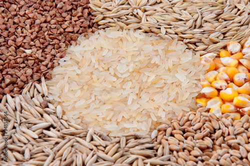 Cereals: rice, corn, oats, wheat, barley, buckwheat