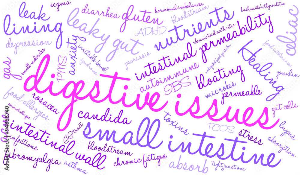 Digestive Issues word cloud on a white background. Digestive Issues word cloud on a white background.