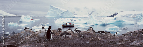 Panoramic view of Gentoo penguins with chicks (Pygoscelis papua), ecological tourists in inflatable Zodiac boat with glaciers and icebergs in Paradise Harbor, Antarctica