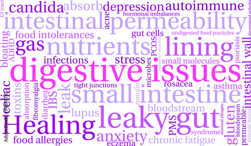 Digestive Issues word cloud on a white background. 