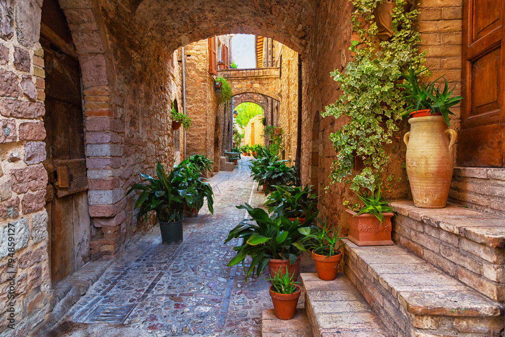 Plants in pots on narrow streets of the ancient city of Spello, Umbria, Italy - obrazy, fototapety, plakaty 
