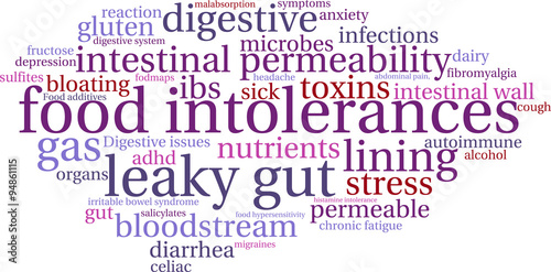 Food Intolerances word cloud on a white background. 