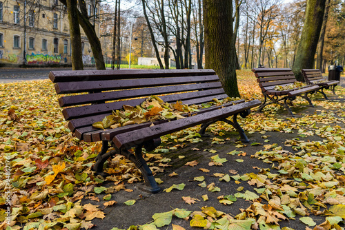 Benches in autumn park