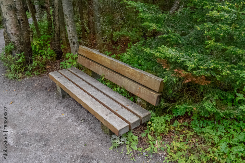 wood bench in the Canadian forest wood bench in the Canadian forest