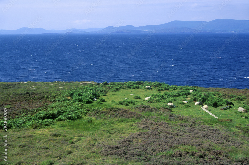 View of West Cork, Ireland