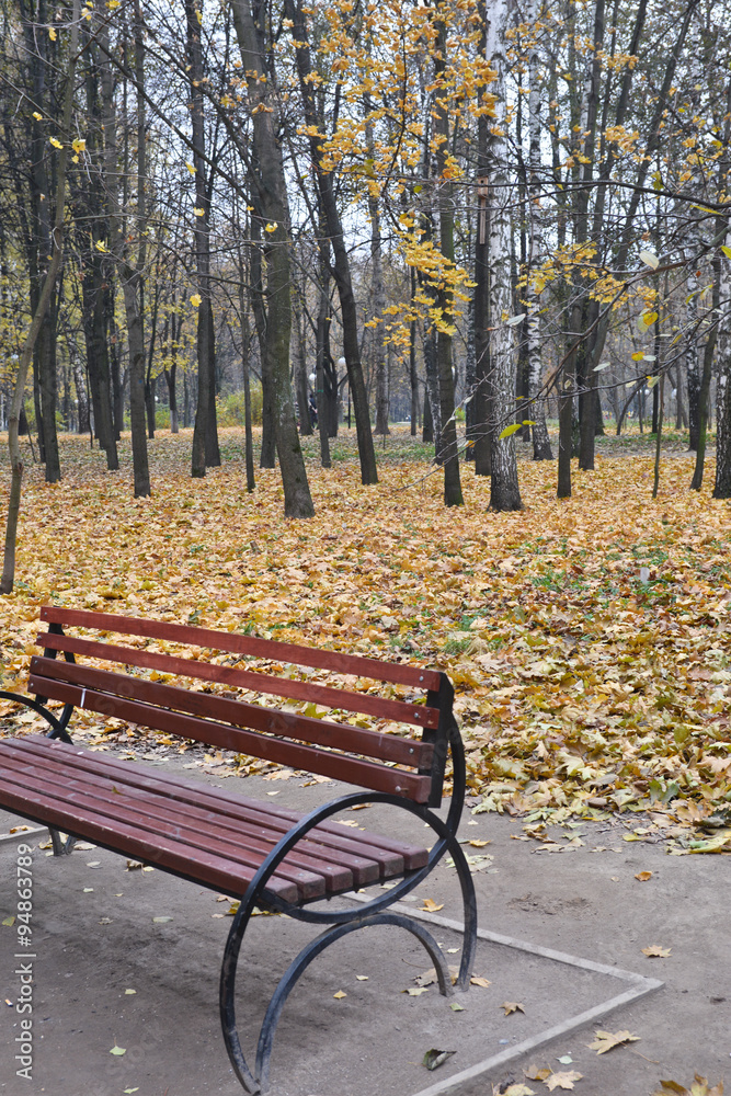Bench in the autumn Park.