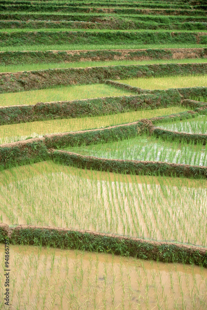 Terraced rice paddies in Kunming, People's Republic of China