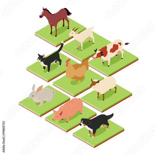 Domestic isometric animals