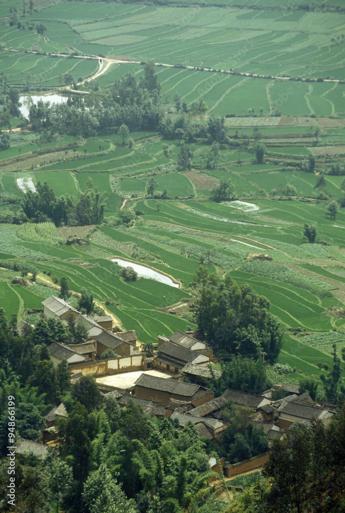 Terraced rice fields near village in Dali, Yunnan Province, People's Republic of China
