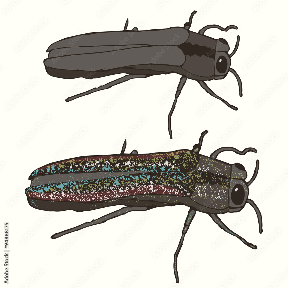 The Emerald Ash Borer Eating and Bringing Death to Your Mountain Ash