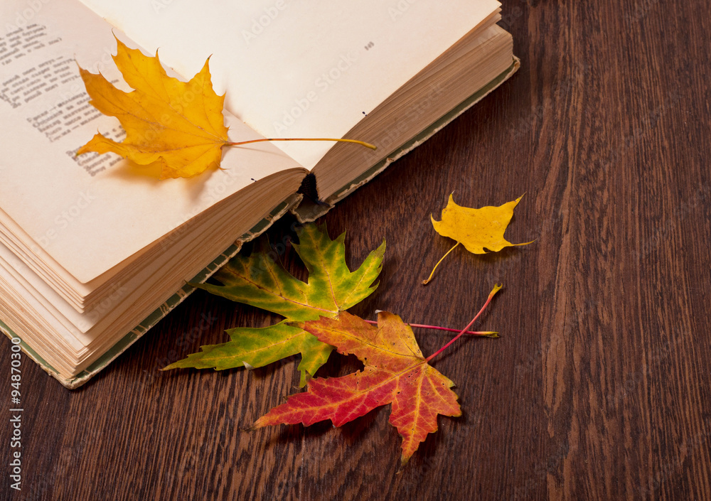 Obraz premium Autumn mood concept