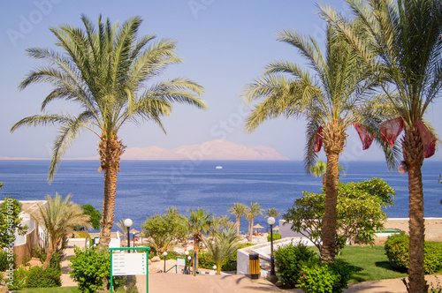 Sea view with palms on sunny beach 