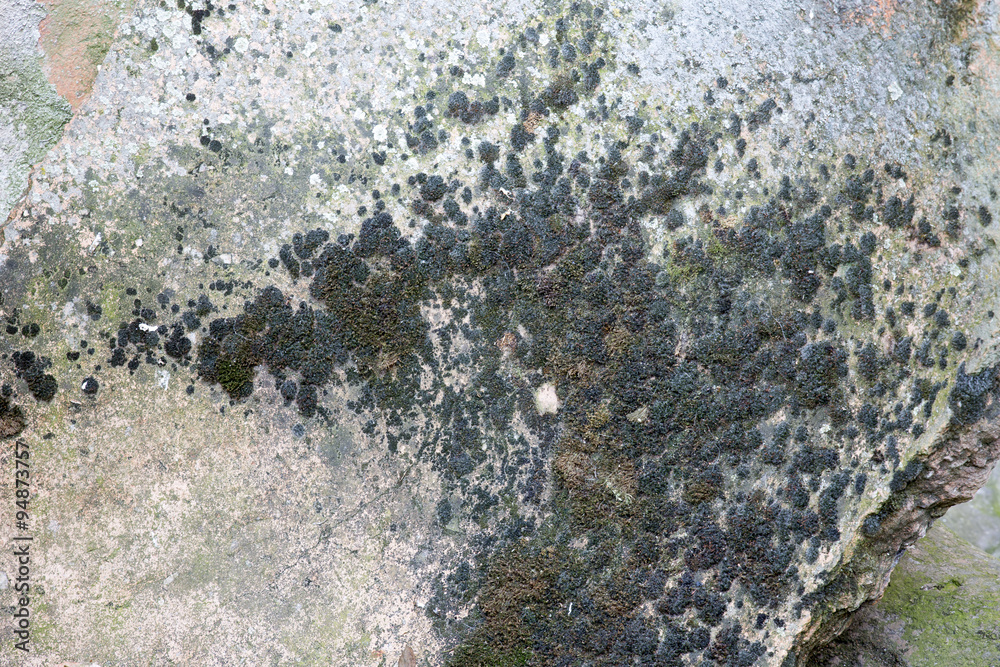 Obraz premium Texture