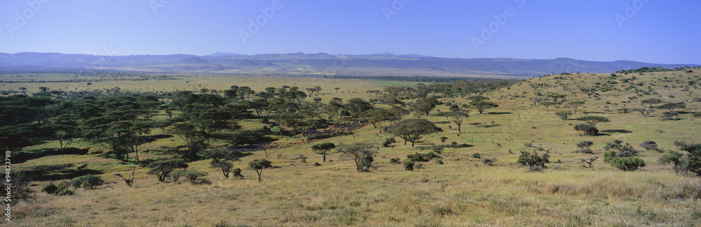 Panoramic landscape of Lewa Conservancy, Kenya, Africa with Mount Kenya in view