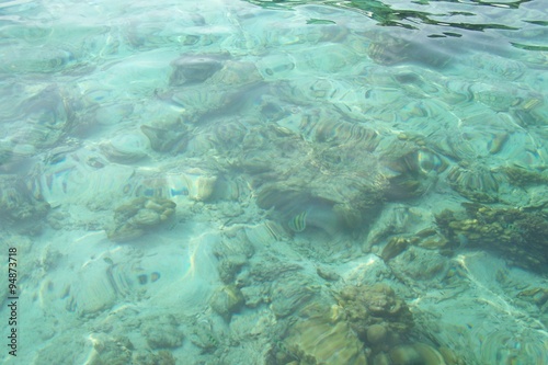 Meer Unterwasser / Ko Mai Phai oder auch Bamboo Island
