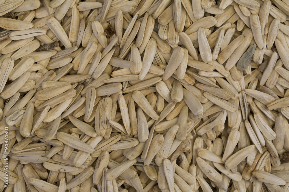 Sunflower seeds Sunflower seeds