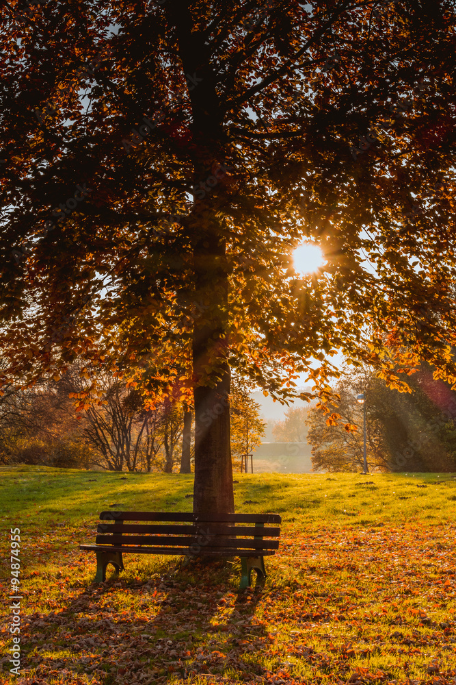 Herbstimpressionen im Park
