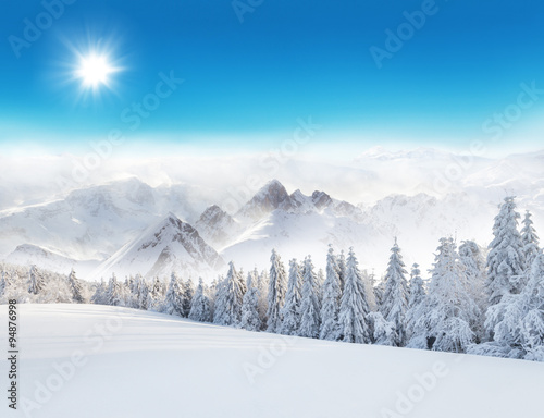 Winter snowy landscape © Jag_cz