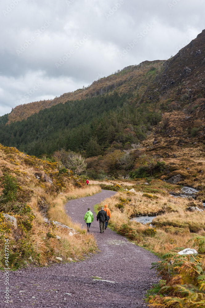 Fototapeta premium hikers walking through Killarney national park