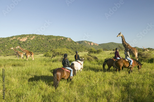 Female horseback riders ride horses in morning near Masai Giraffe at the Lewa Wildlife Conservancy in North Kenya, Africa photo