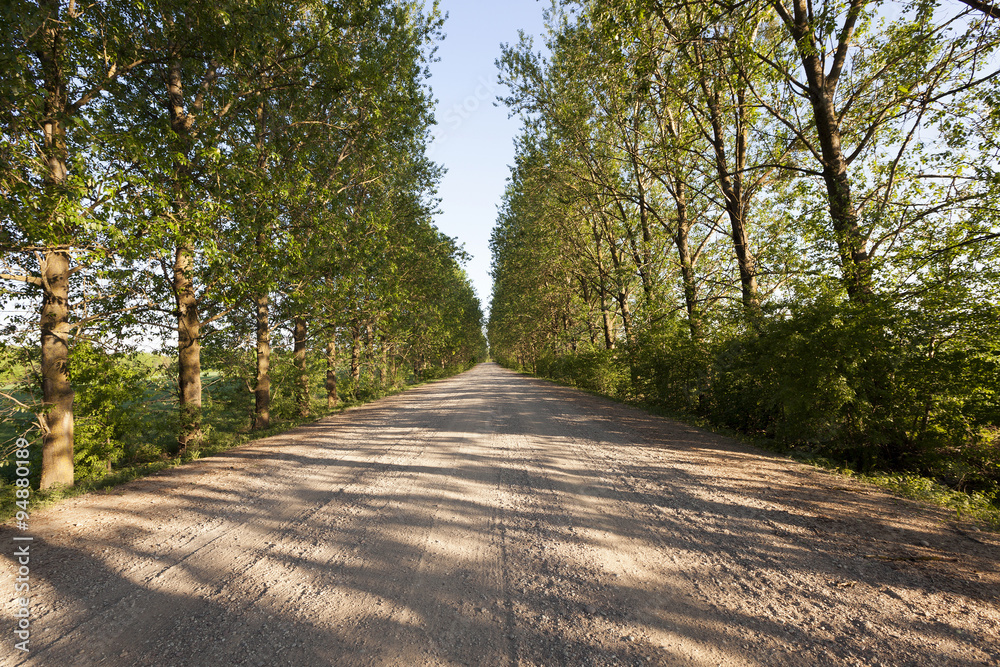  road in the countryside 