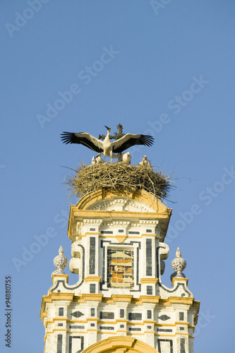 Closeup of nesting European storks on white cathedral tower with beautiful sunlight in village of Southern Spain off highway A49 west of Sevilla photo