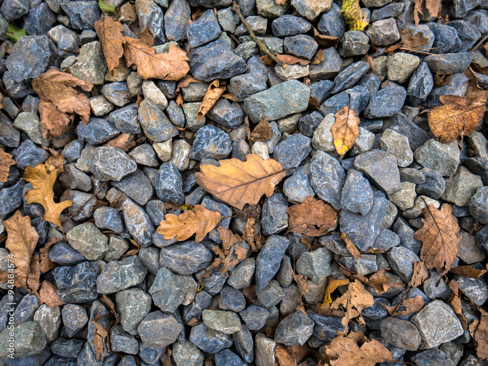 Fall leaves and stones Fall leaves and stones