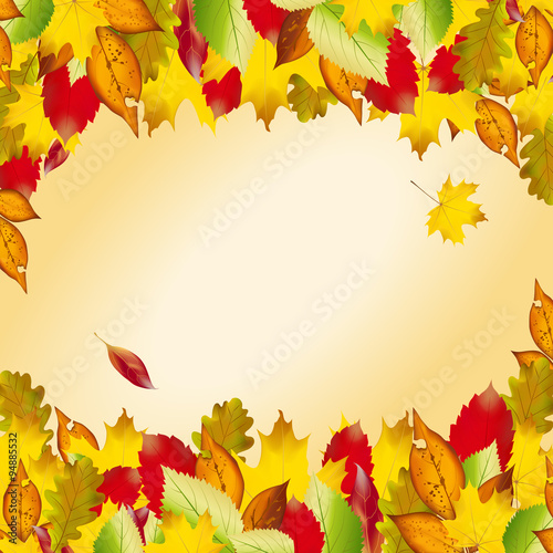 Vector of autumn  colorful leaves. Fall background.