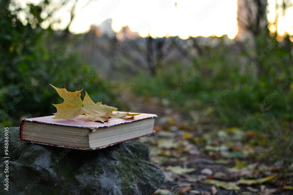 Obraz premium Vintage book with fallen leaf on it