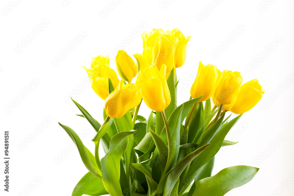 Naklejka premium bouquet of tulips on a white background