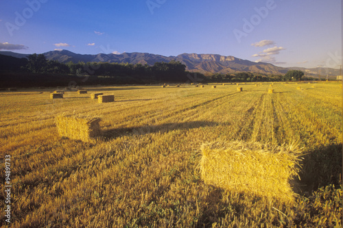Hay bails with the Topa Topa mountains in the background, Ojai, CA