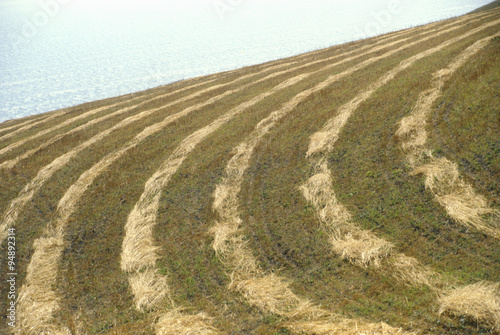 Patterns in mowed grain field, Northern CA