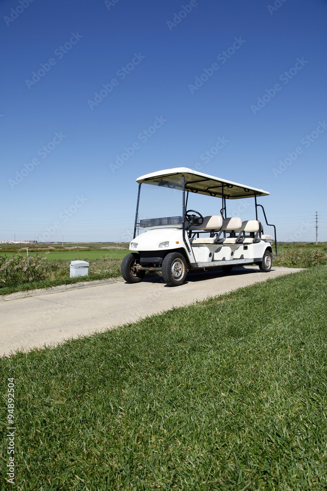 White golf carts at the green golf course