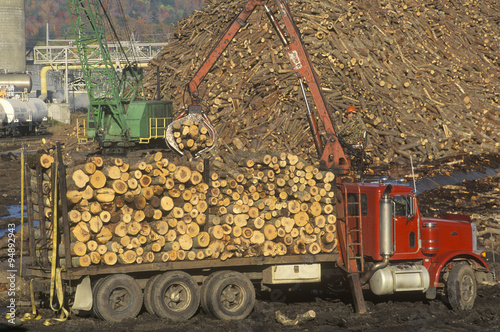 Cranes adding logs to the large pile of wood ready to be made into paper at the Boise Cascade Paper Plant in Rumford  Maine