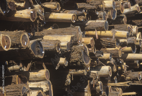 A pile of logs tagged for processing at a lumber mill in Willits, California photo