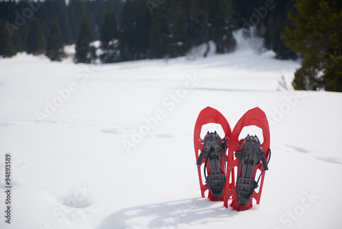 Obraz na plátně winter snowshoes