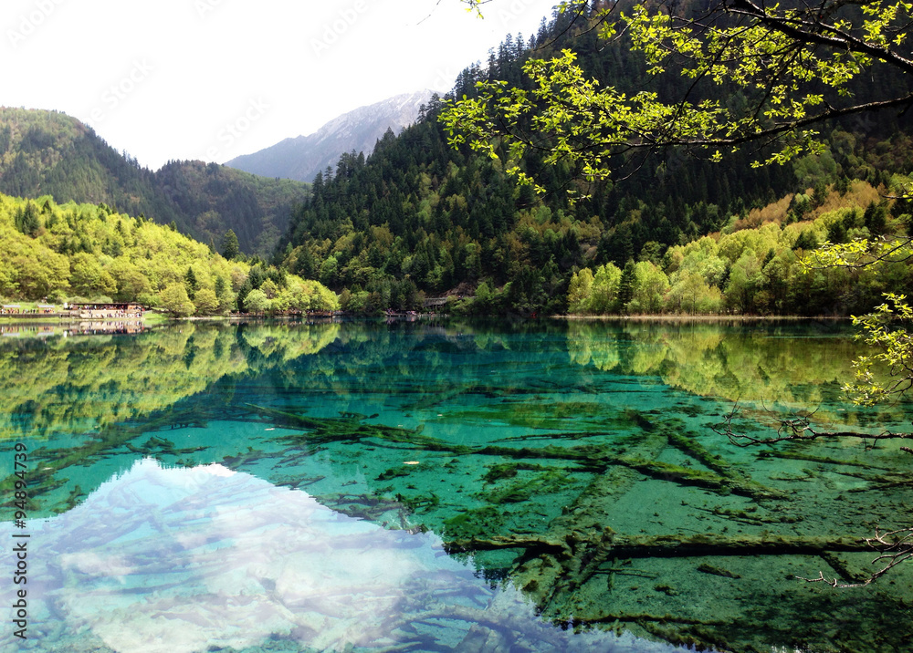 Crystal Lake and Greenery