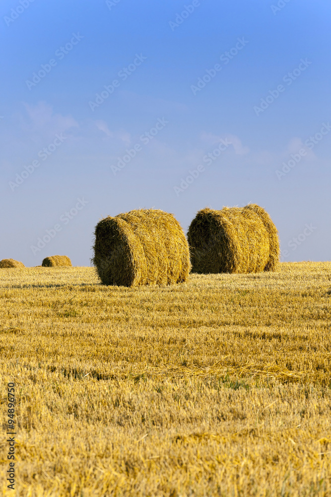 haystacks straw  . summer