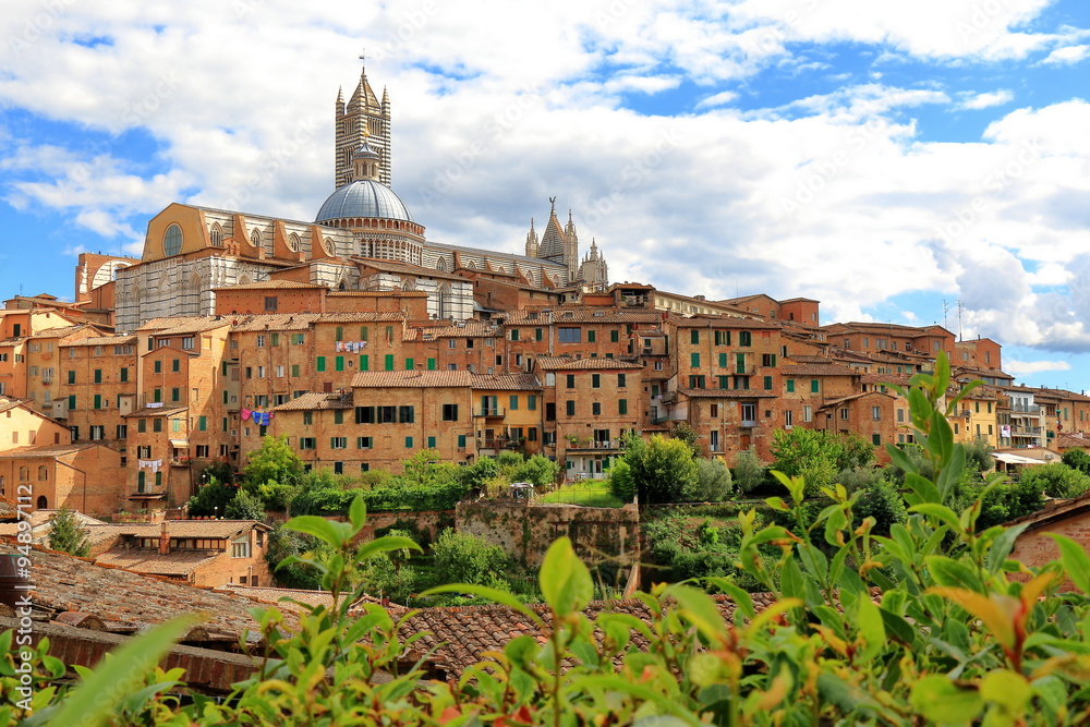 View of Siena towards Siena Cathedral in Italy