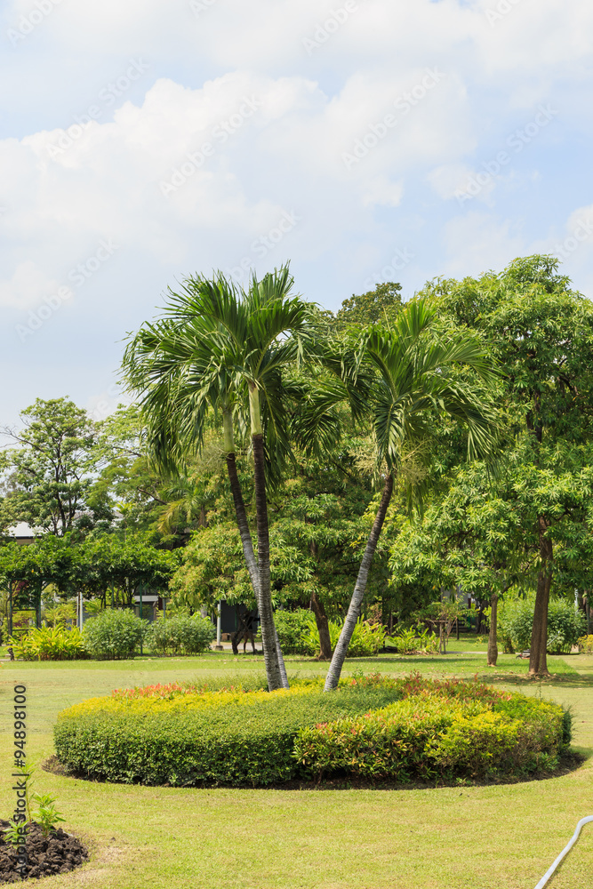 Chatuchak park in bangkok Thailand