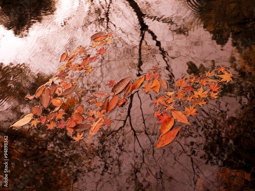 紅葉