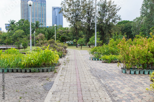 Chatuchak park in bangkok Thailand photo